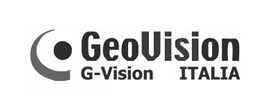 Geovision